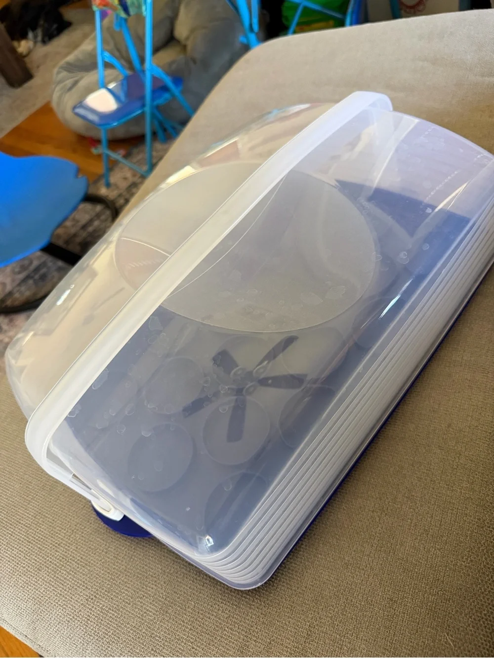 Tupperware cupcake carrier